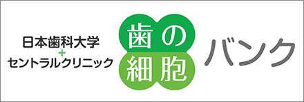 日本歯科大学・セントラルクリニック歯の細胞バンク