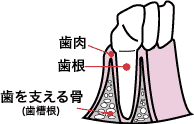 初期状態の図